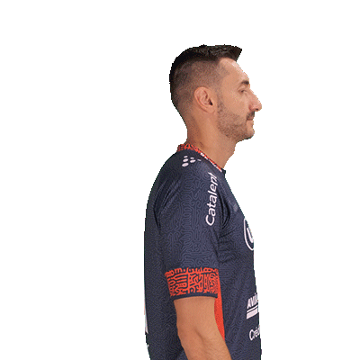 21 - Dragan GAJIC